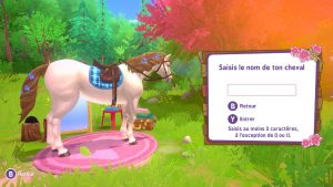 Schleich Horse Club