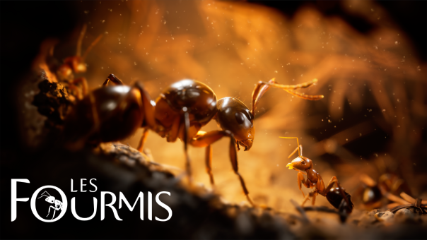 Les Fourmis | Microids - L'éditeur présente trois titres présents à la gamescom 2024