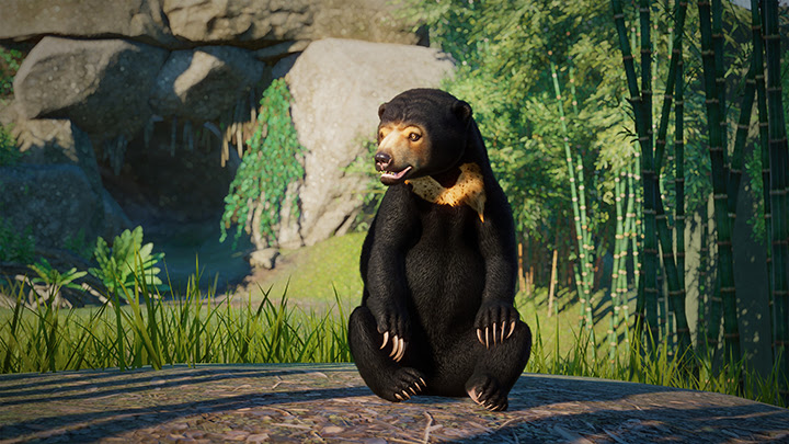 | Planet Zoo - Découvrez le DLC Asie du Sud Est !